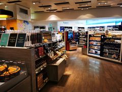 -维也纳国际机场