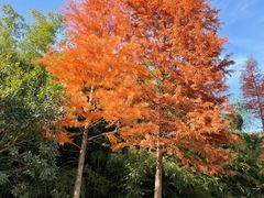 -南京市无想山景区