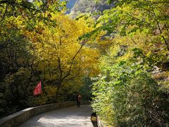 -北京上方山国家森林公园