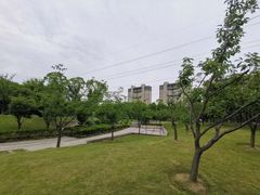 -颐景园