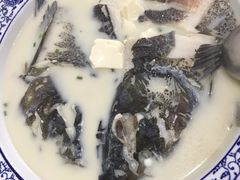 -全乐鱼馆·淳牌有机鱼直营店