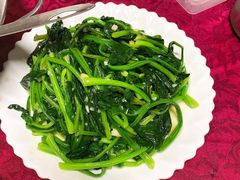 -柘林湖生态鱼馆
