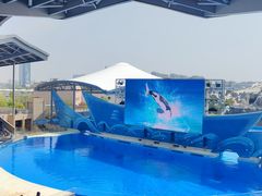 -上海海昌海洋公园