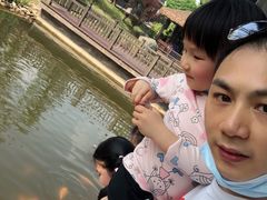 -枫香湖儿童公园