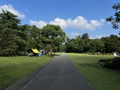-上海滨江森林公园