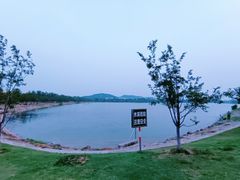 -羊山湖公园