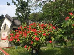 -广州神农草堂中医药博物馆
