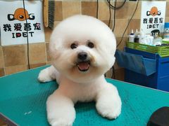 -我爱吾宠宠物美容院(朝阳路店)