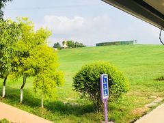 -紫颐香薰山谷景区