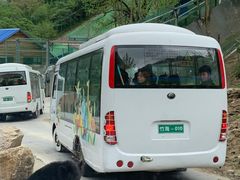 -栾川竹海野生动物园