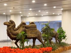 -银川河东国际机场