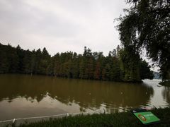 -顺峰山公园