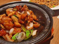 金不换三杯鸡-大树餐厅(益田假日店)