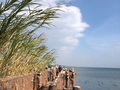 -洱海月湿地公园