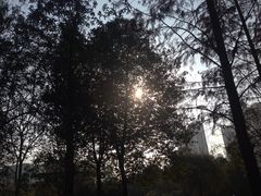 iphone_upload_pic-苏州河梦清园环保主题公园