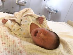 -海豚湾高端月子会所(黄浦店)