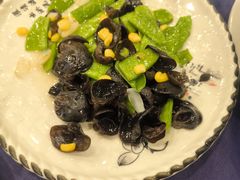 -金龙寨(龙城路店)