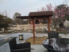 -思念果岭悦温泉