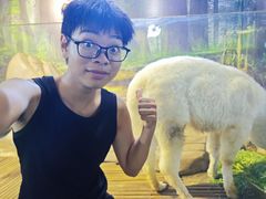 -苏州海洋馆