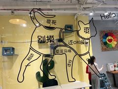 -吉丁鸟咖·异宠·寄养
