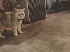 -研途咖啡馆(健康路店)
