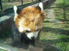 -新疆天山野生动物园