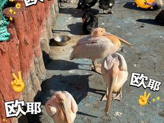 -大连老虎滩海洋公园