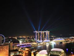 -新加坡瑞士史丹福酒店