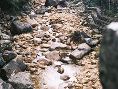 -姑婆山旅游区