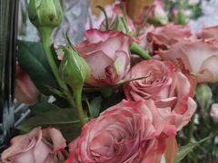 -Flower in(密渡桥店)