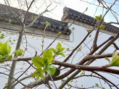 -北京世界公园