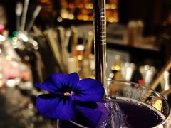 -STARRY CAFE & LOUNGE BAR(高新店)