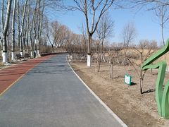 -大兴滨河森林公园