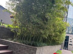 -成都博舍酒店