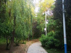 -金星公园