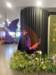 -苏州奥拉克美容医院