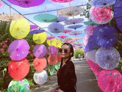 -武汉紫薇都市田园