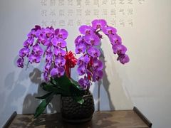 -中和·国风茶馆(愚园路店)