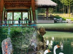 -兰亭风景区