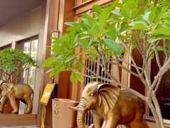 -金链花·泰国餐厅(国贸店)