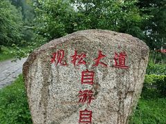 -五营红松林海景区