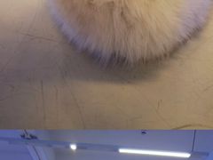 -Blue Concept Cafe&Farm·關於藍