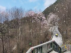-九皇山景区