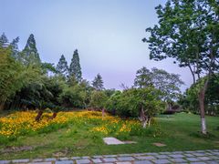 -上海市保健医疗中心