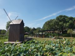 -美兰湖景区