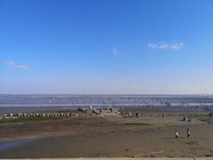 -南汇嘴观海公园