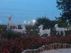 -羊亭河湿地公园