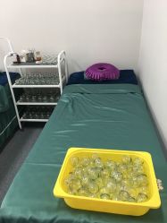 -苗塑堂减肥·艾灸