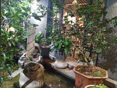 -海韵人家.海景花园经典云南菜(双廊店)