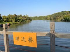 -大湾区中央湿地公园